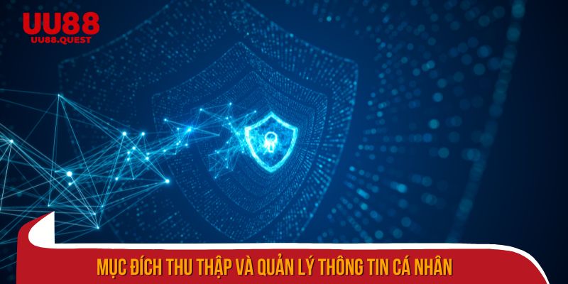 Chính sách bảo mật đảm bảo thu thập và quản lý thông tin cá nhân an toàn