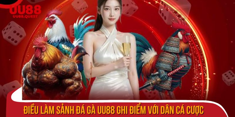 Điều làm sảnh đá gà uu88 ghi điểm với dân cá cược