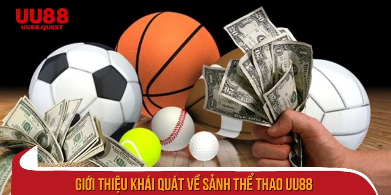 Giới thiệu khái quát về sảnh thể thao uu88