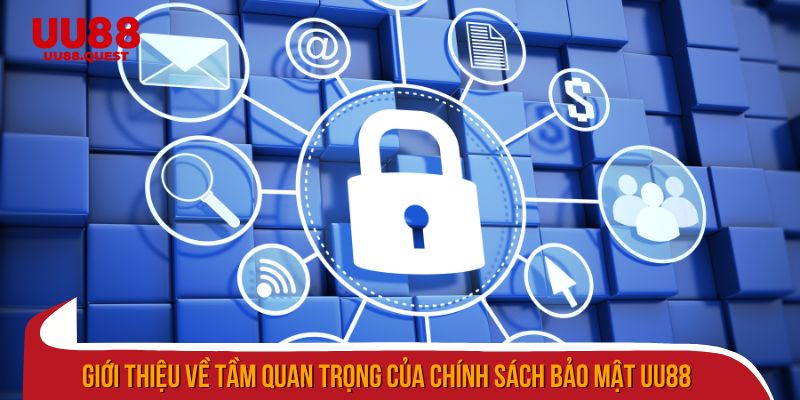 Tầm quan trọng của chính sách bảo mật uu88 trong bảo vệ dữ liệu