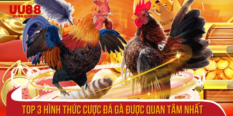 Top 3 hình thức cược đá gà được quan tâm nhất
